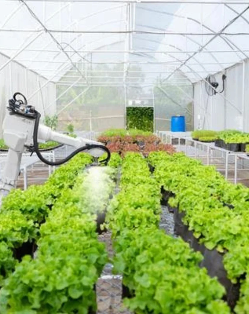 Environment Controlled Agriculture